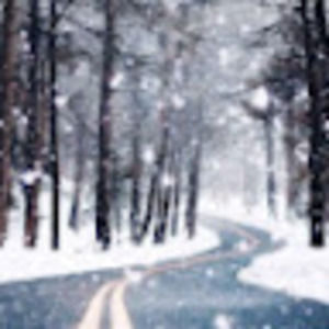 Meet your Posher, Rita